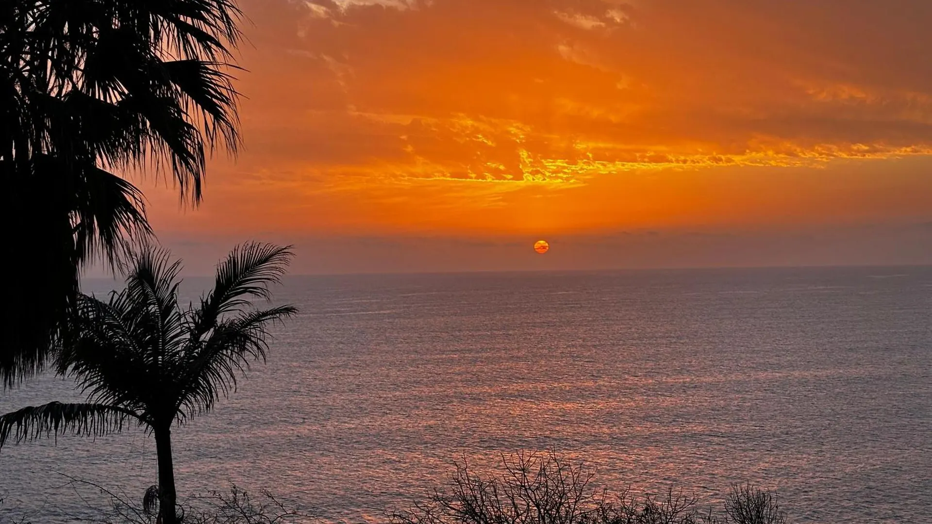 Homestay Suite Bela Vigia 3 Jardim do Mar