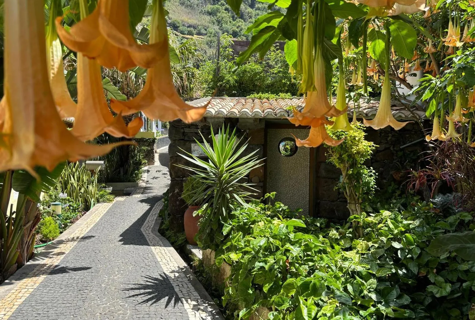 Suite Bela Vigia 3 Jardim do Mar 0*,